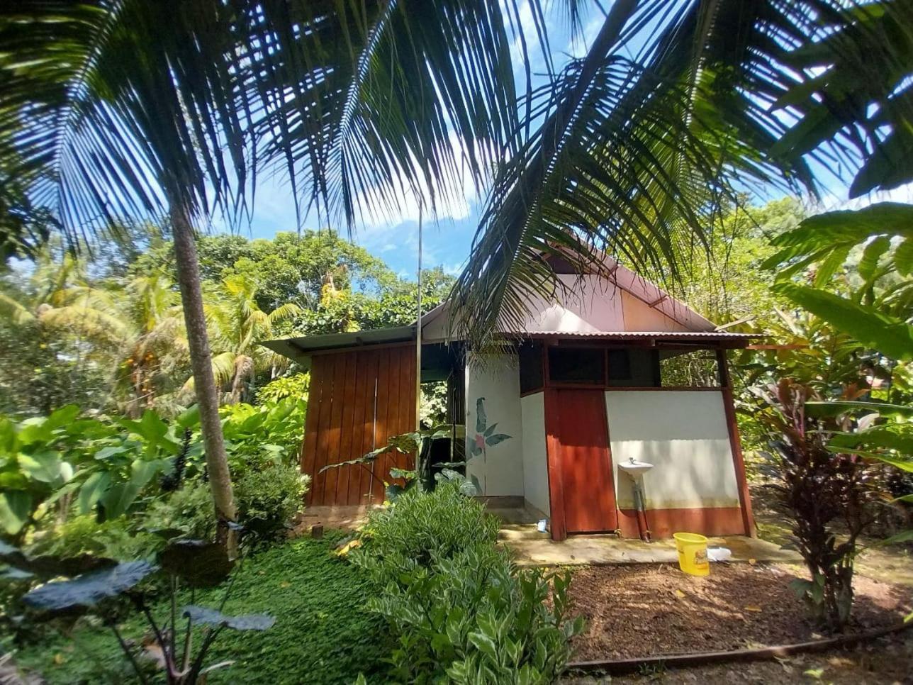 Jardin De Las Musas プエルト・マルドナード 部屋 写真
