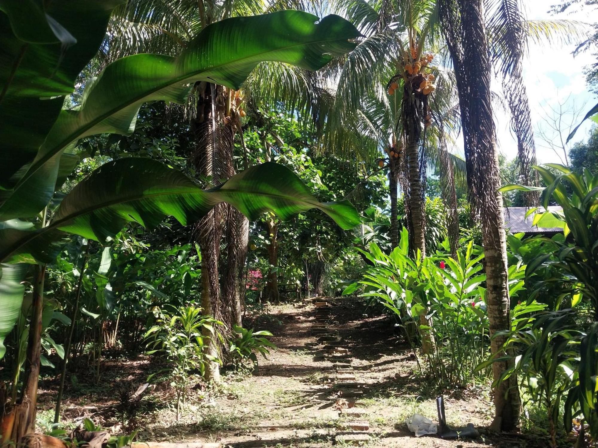 Jardin De Las Musas プエルト・マルドナード エクステリア 写真